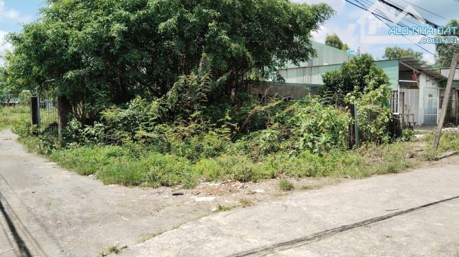 Bán đất 2 mặt kiệt, nở hậu, 127m2, ngang 6.7m, 2 tỷ 400, Đà Sơn 2, Liên Chiểu - 3