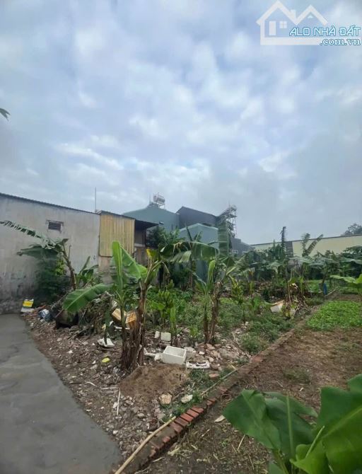 Đất gần chợ Tân Bình, phường Tân Bình, TP Dĩ An - 3