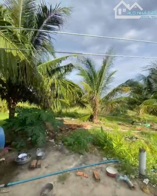 2,4 Mẫu Giá Chỉ 3 Tỷ Tân Hải LaGi Sẵn Nhà Vườn Đường Ô Tô - 3