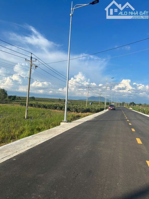 1482m2 Nguyễn Minh Châu Tân Tiến LaGi Đường Nhựa Giá Chỉ 1,8 Tỷ - 3