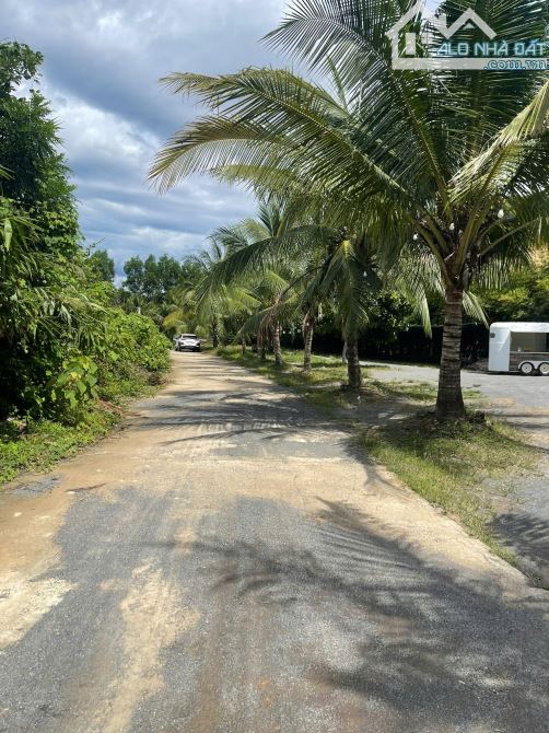 Bán lô đất trồng cây lâu năm, 3850m2 sát đường DT602, gần khu thương mại tự do, gần bà nà - 2