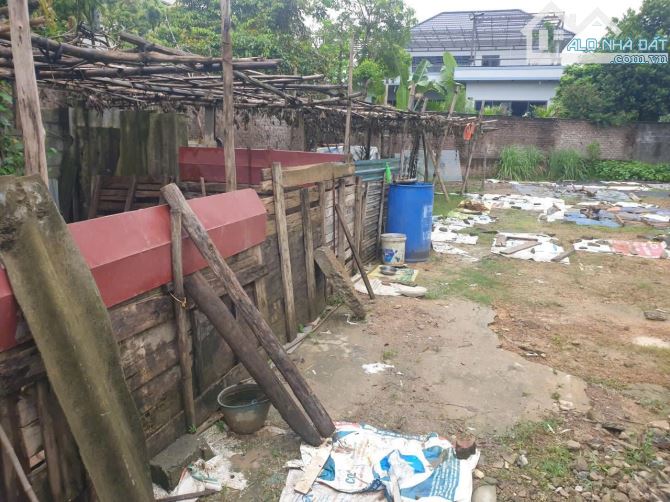 Cần bán lô đất ở Thôn Đồng Sầm, xã Nhuận Trạch. - 3