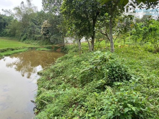 Chỉ hơn 2 triệu! 3.871m² lô góc 2 mặt đường, đường 7m, view toàn bộ cánh đồng - 3
