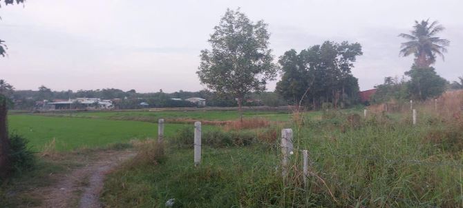 Bán 2,4 ha đất đường Quốc Lộ 22B xã Cẩm Giang Gò Dầu Tây Ninh, DT: 24000m2. - 3
