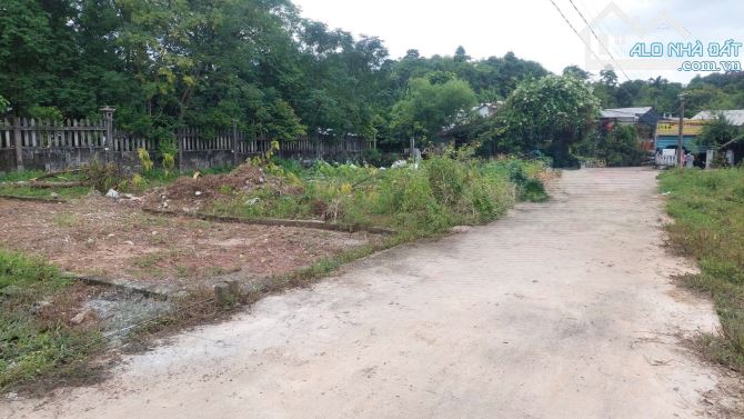 Đất Thủy Xuân - Kiệt 6 Hoài Thanh An Cư Đầu Tư - 3