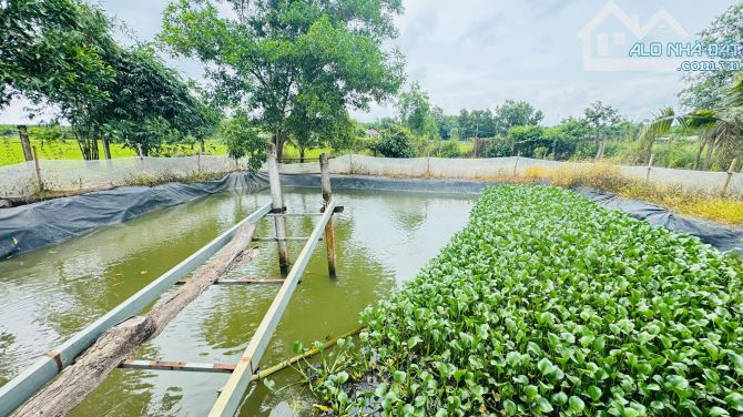NHÀ VƯỜN SUM SUÊ GẦN 3000M2 ĐẤT ĐỎ- HCM🏝️🏝️🏝️ 🌈🌈GIÁ BÁN: 10TỶ TL🌈🌈 ---- 🌈Dt: 2715m - 4
