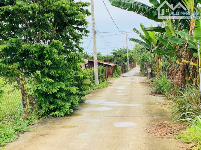 🌟 SIÊU PHẨM gần 1100m2 ĐẤT PHƯỚC HẢI – GIÁ CHỈ 4 TỶ 🌟  📍 Vị trí: Khu biệt thự Phan Gia - 4