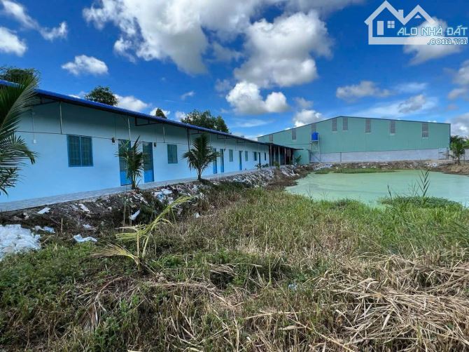 Kho Xưởng 6.000m² Full Tiện Ích: PCCC, Điện 3 Pha, Sân Bãi, Văn Phòng – Cho Thuê Lâu Dài - 4