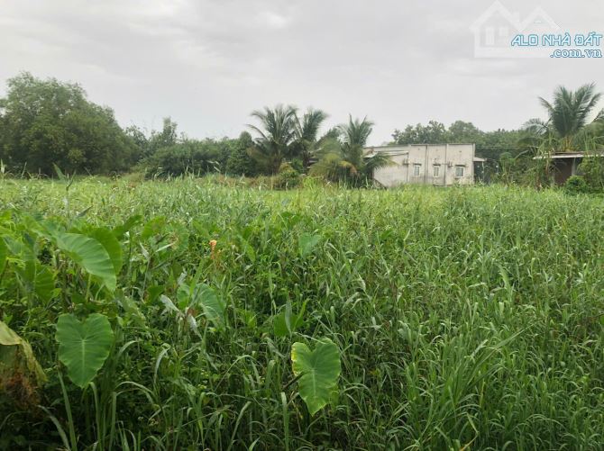 MUỐN BÁN TỔNG HỢP ĐẤT 1,44 HECTA - THANH TUYỀN, DẦU TIẾNG - 25 TỶ - 4