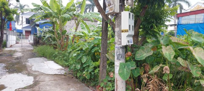Bán lô đất cạnh khu chung cư Cách Thượng, Nam Sơn giá chỉ 10tr/m - 4