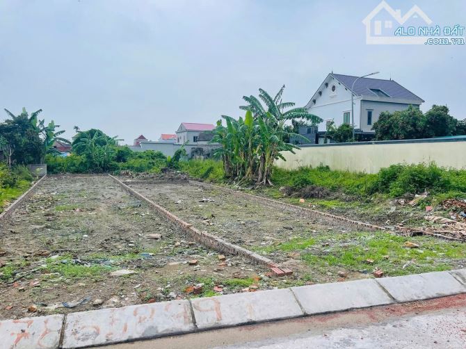 139m2 Mặt đường thôn Xuân Đông - Ngũ Phúc Gần Khu Công Nghiệp Giá chỉ 15.x triệu/m2 - 3