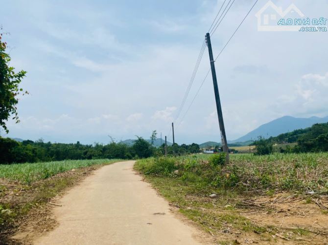 Bán Nhanh Lô Đất 30.527m² View Siêu Đẹp Khánh Nam – Khánh Vĩnh - 4