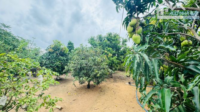 NHÀ VƯỜN SUM SUÊ GẦN 3000M2 ĐẤT ĐỎ- HCM🏝️🏝️🏝️ 🌈🌈GIÁ BÁN: 10TỶ TL🌈🌈 ---- 🌈Dt: 2715m - 5