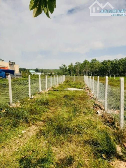 CHÚ QUANG CẦN TIỀN CHO CON ĐI DU HỌC BÁN MIẾNG ĐẤT 125M² - XÃ NHUẬN ĐỨC CỦ CHI - CHỈ 700TR - 5