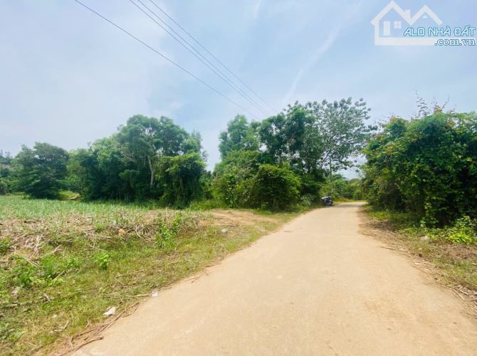 Bán Nhanh Lô Đất 30.527m² View Siêu Đẹp Khánh Nam – Khánh Vĩnh - 5