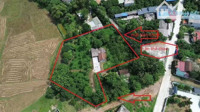 Chỉ hơn 2 triệu! 3.871m² lô góc 2 mặt đường, đường 7m, view toàn bộ cánh đồng - 5