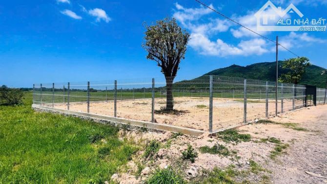 Lô đất đẹp để đầu tư quý anh chị ơi gần biển gần núi cách biển 2,2km - 6