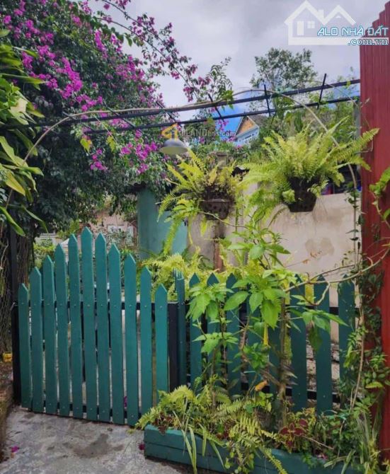 HOMESTAY  SÂN VƯỜN CỰC XINH GẦN HỒ XUÂN HƯƠNG - 6
