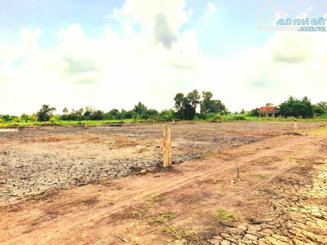 Hàng thơm, 132m2 đất thổ đường ô tô Nguyễn Thị Lầu chỉ 395tr - 6