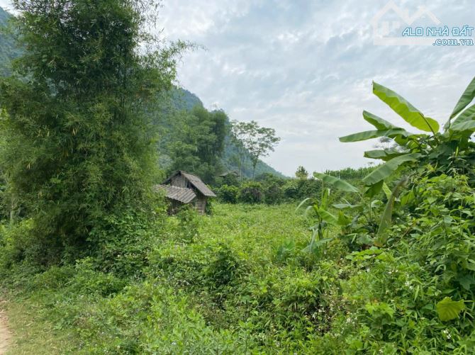 1413m Cây Lâu Năm Bám Suối Cách Đường Quốc Lộ 12B Đúng 200m Giá Hạt Rẻ - 6