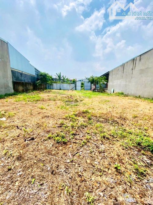Bán lô đất đường Thân Nhân Trung, P. Trảng Dài, Biên Hoà - 8