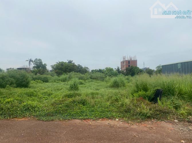 Cần bán Đất An Thạnh, Thuận An Diện tích : 196,5m2 - 8