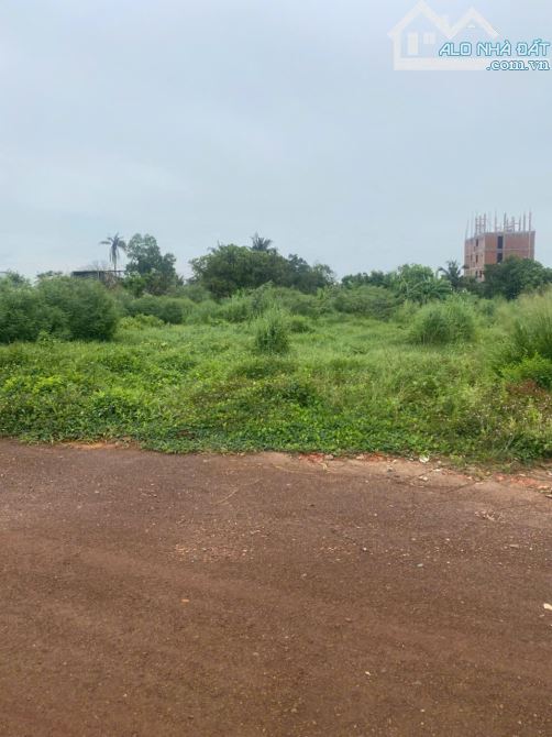 Cần bán Đất An Thạnh, Thuận An Diện tích : 196,5m2 - 9