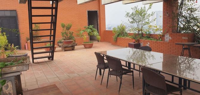 Bán toà nhà 12 tầng mặt phố Bùi Thị Xuân – 223m² – mặt tiền 8m – dòng tiền 300 triệu/tháng - 9