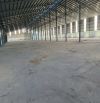 Kho Xưởng 6.000m² Full Tiện Ích: PCCC, Điện 3 Pha, Sân Bãi, Văn Phòng – Cho Thuê Lâu Dài