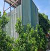Cần tiền nên nhượng gấp 1500m2 đất vườn quất Tứ Liên-Phường Tứ Liên-Tây Hồ-Hà Nội