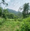 1413m Cây Lâu Năm Bám Suối Cách Đường Quốc Lộ 12B Đúng 200m Giá Hạt Rẻ