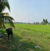 Bán 2 ha đất khu dân cư mặt tiền đường TL7 xã Phước Thạnh Củ Chi TPHCM, DT: 20300m2.