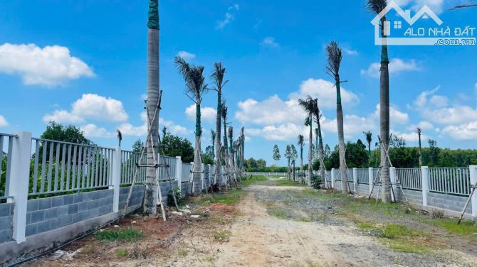 Bán lô đất 1000m2 Phước Hội- Đất Đỏ BRVT Dt: 1000m2 (34x28)  Đường nhánh Nguyễn Huệ