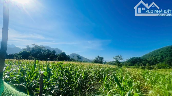 BÁN ĐẤT ĐẸP NGHỈ DƯỠNG – GIÁ CHỈ 1,4 TRIỆU/m² TẠI NẬT SƠN, PHÚ THỌ