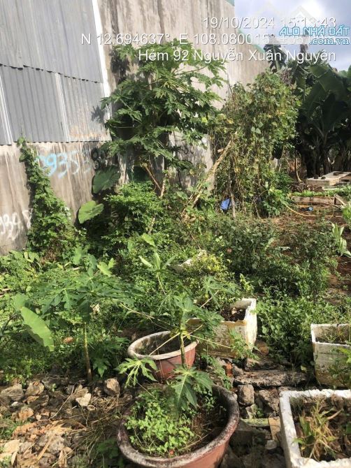 ĐẤT HẺM 92 NGUYỄN XUÂN NGUYÊN – PHƯỜNG TÂN AN