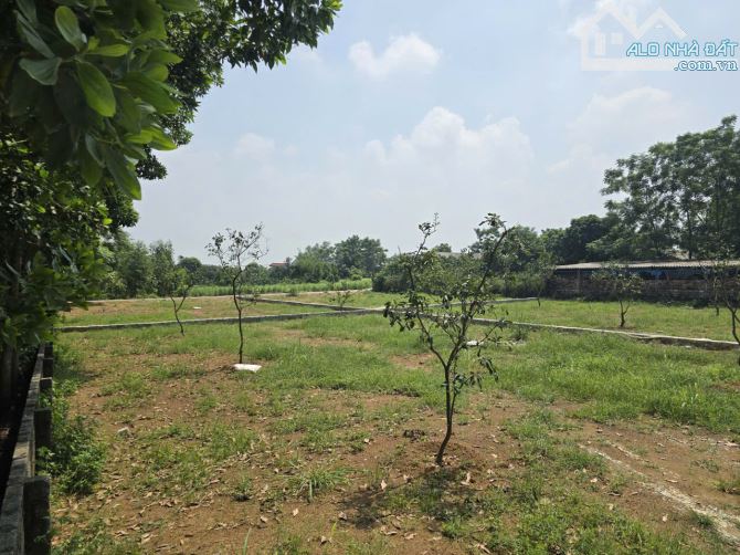 500m2 - Giá 1x - Tách thửa được - Chủ cần tiền cần bán - Vị trí kết nối - Gần DH09