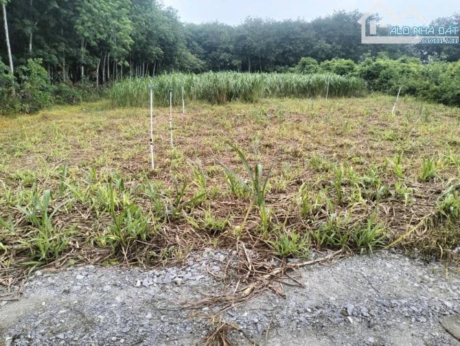 Bán đất khu dân cư đường xe tải sát Nguyễn Thị Rành xã Phú Mỹ Hưng Củ Chi TPHCM, 30x90m.