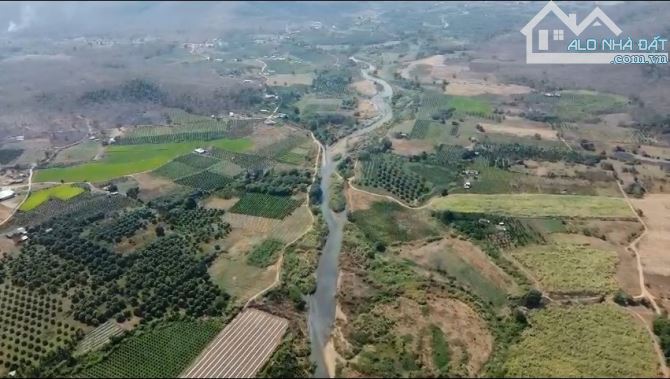 Bán lô trang trại suối Do Hàm Thuận Bắc 1,3ty/ha