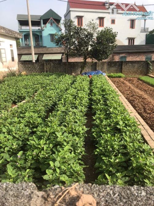 Bán đất Hoa Hậu xã Bột xuyên, Mỹ đức, HN 82 m 2 mặt thoáng, ô tô vào đất