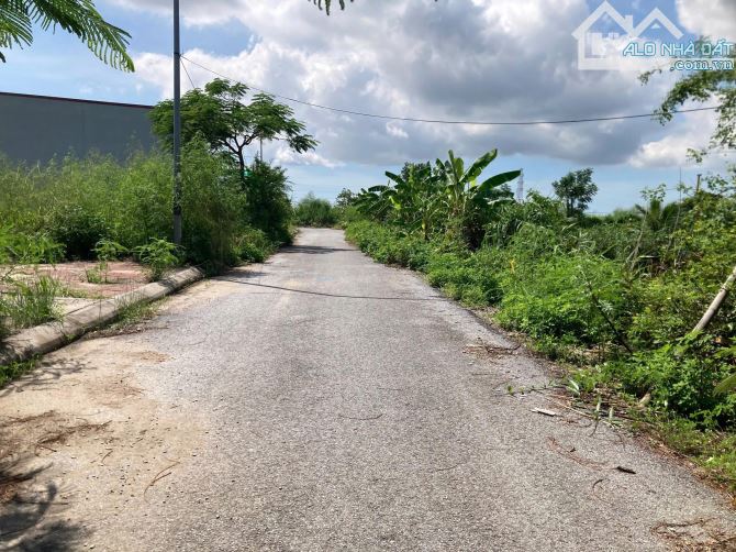 Mặt đường 19m view Ecopark Đất tái định cư Tràng Cát   D.tích: 40m (ngang 4 x 10) - Hướng: