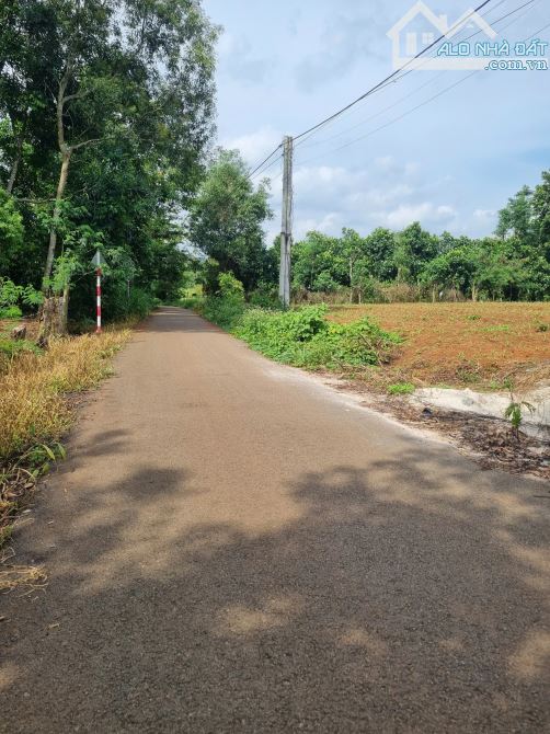 Bán 150m2 (5x30m) Láng Lớn, Châu Đức