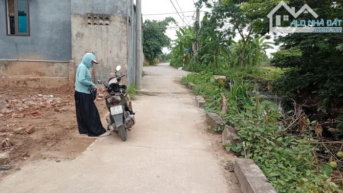 CẦN  BÁN GẤP MẢNH ĐẤT TRỒNG CÂY LÂU NĂM. XÃ THANH MAI. .THANH  OAI. 367M2.R 15M. 3,9TR/1M2