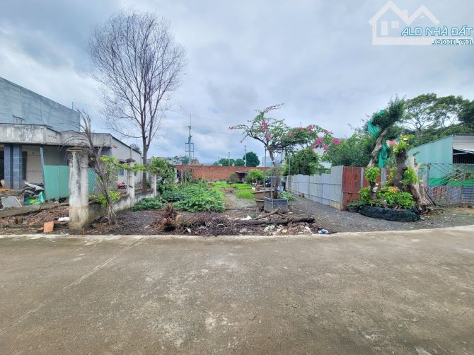 Bán đất 4x29m, hẻm Cây Da p. Tân Bình gần chợ Tân Bình