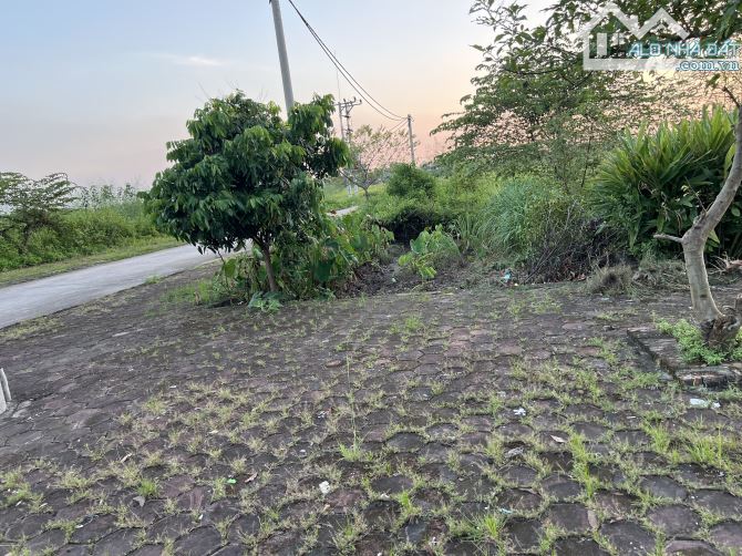 Lô góc đẹp ,vỉa hè thoáng rộng 125m Bắc Thượng -Quang Tiến ,cơ hội vàng để bạn quan tâm