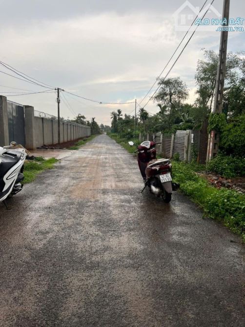 🌿 CHÍNH CHỦ GỞI BÁN ĐẤT GIÁ TỐT – PHƯỜNG TÂN AN, TP. BUÔN MA THUỘT 🌿