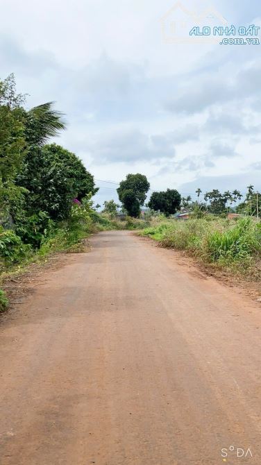 ĐẤT THỔ CƯ P. TÂN LẬP - HOÀ THẮNG, GIÁ MỀM, CÁCH BÙNG BINH SÂN BAY CHỈ 600M