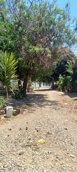 Bán 1000m2 đất khu phố 4 hàm Tiến, Phan Thiết