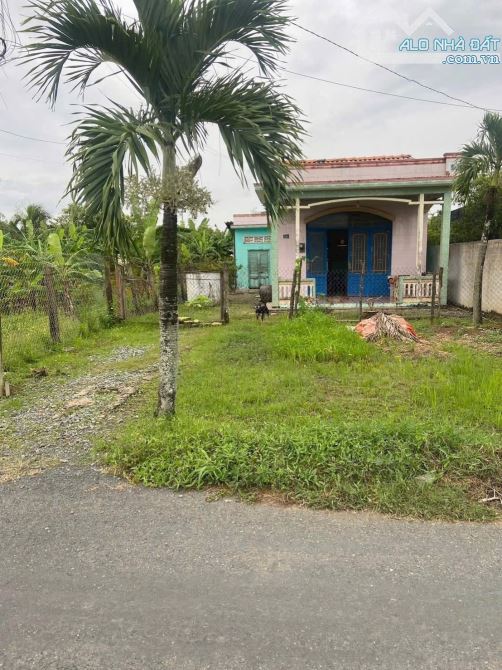 360m2 thổ giá 2tỷ230triệu mặt tiền đường Nguyễn Quang Đại-Cần Đước sổ hồng