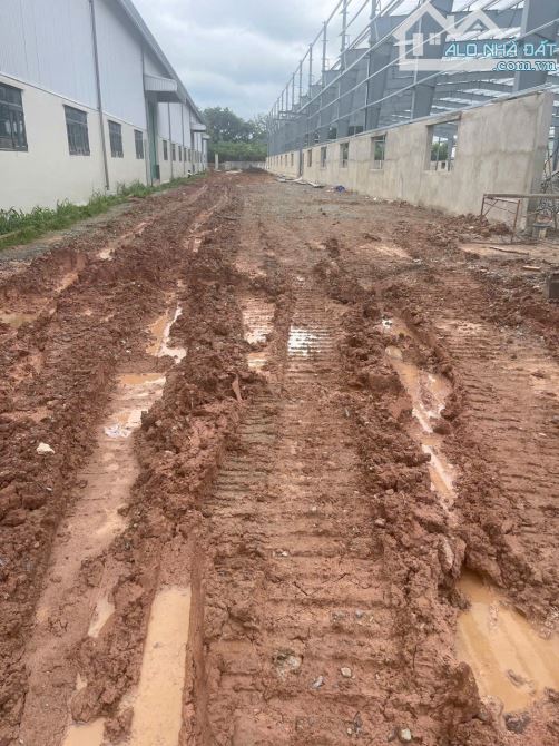 CHO THUÊ XƯỞNG BẾN CÁT BÌNH DƯƠNG