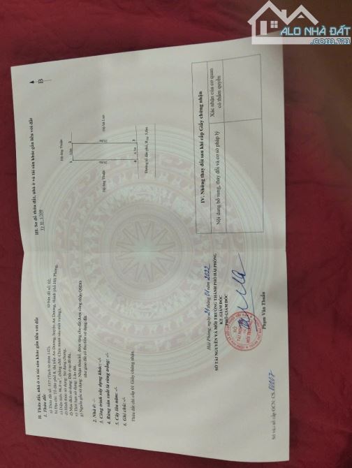 Mặt trục tổ 8 thị trấn An Dương